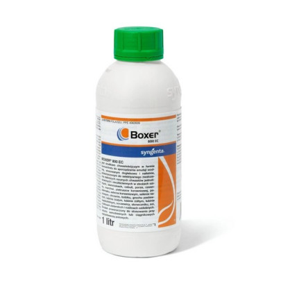 Boxer 800 EC