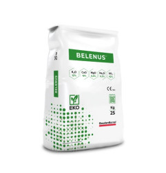 Belenus