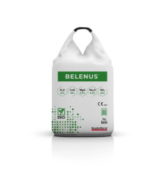 Belenus