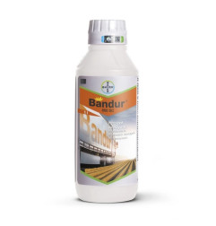 Bandur 600 SC