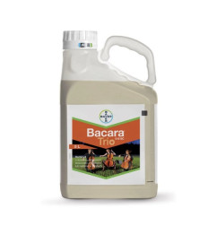 Bacara Trio 516 SC