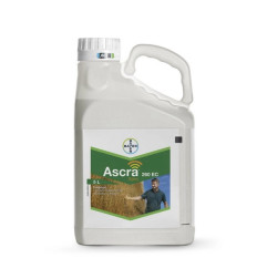 Ascra Xpro 260 EC