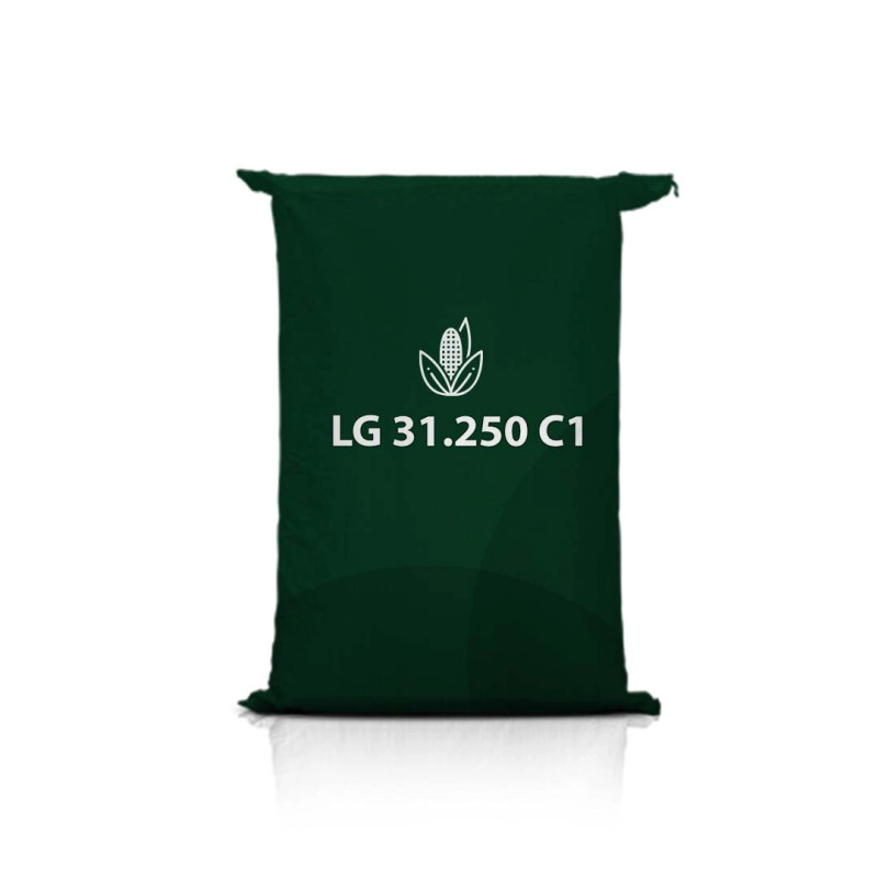 Kukurydza LG 31.250 C1