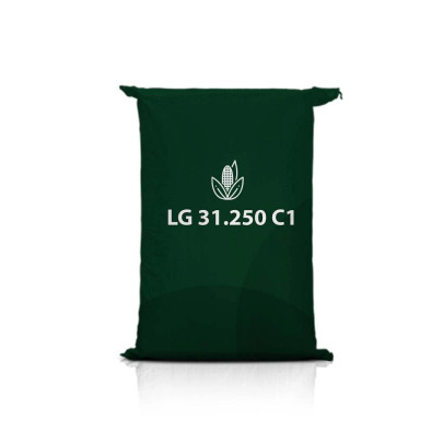 Kukurydza LG 31.250 C1