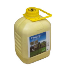 Pontos