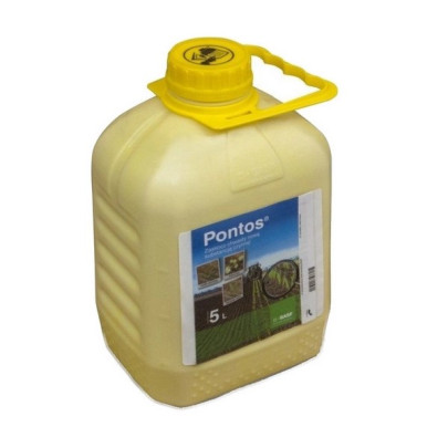Pontos