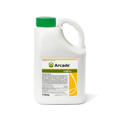 Arcade 880 EC